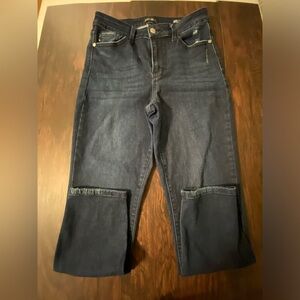 JUDY BLUE Womens Size 3/26 Dark Wash Stretch Denim Mid Rise Skinny Leg Jeans